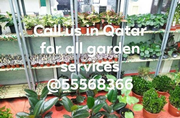 Garden Care Services in Qatar