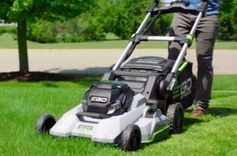 Garden services in Qatar