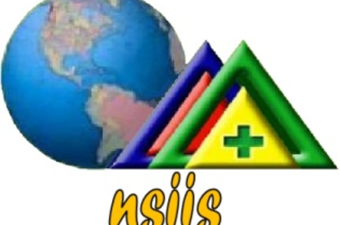 NSIIS Logo