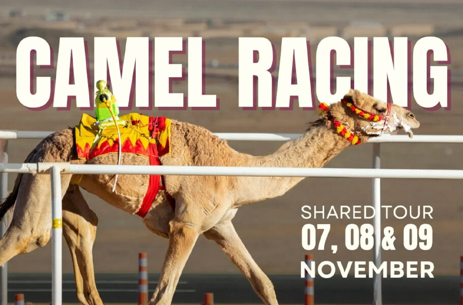 ILoveQatar.net | Murex Activities & Tours (Camel Racing Shared Tour)