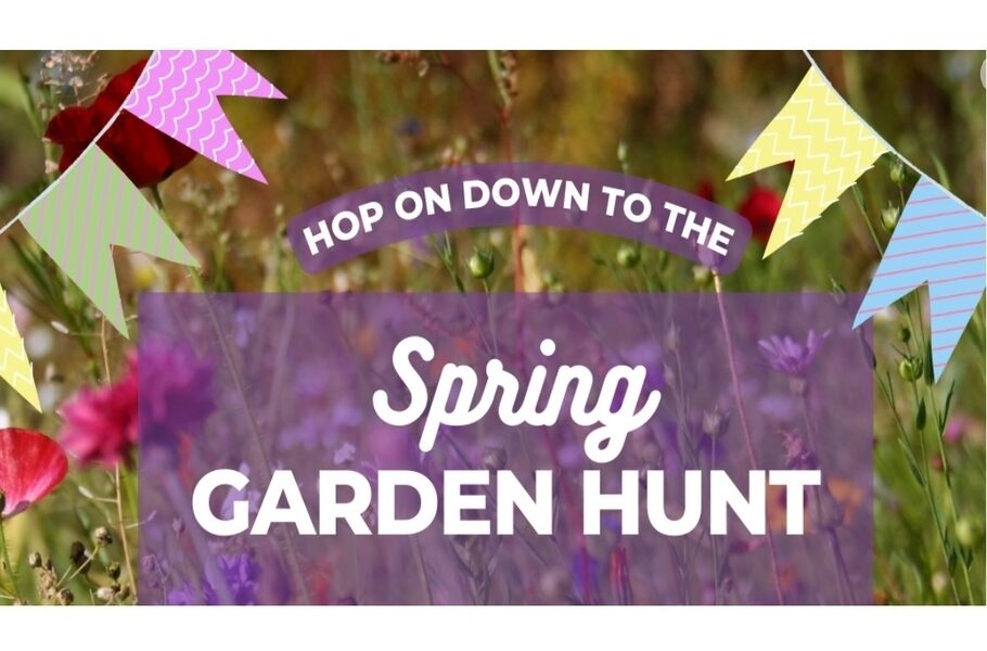 Spring Garden Hunt at Micro Farm Education City