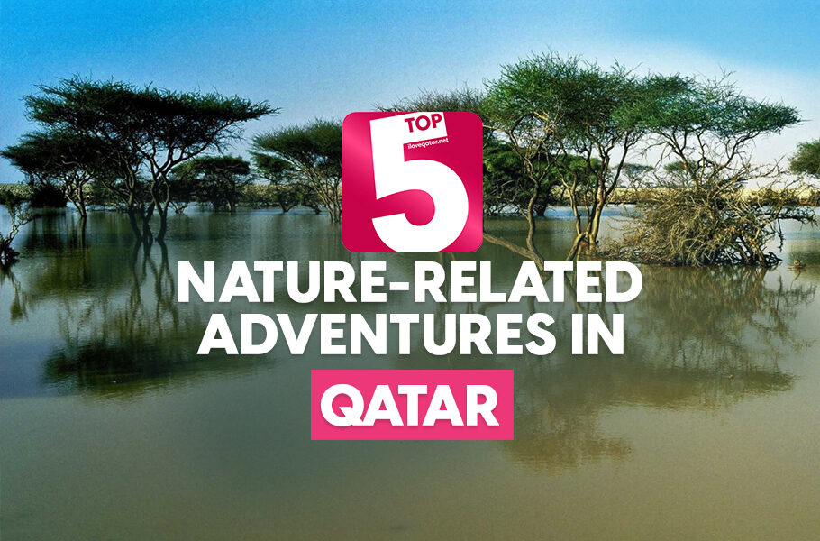 Top 5 naturerelated things to do in Qatar