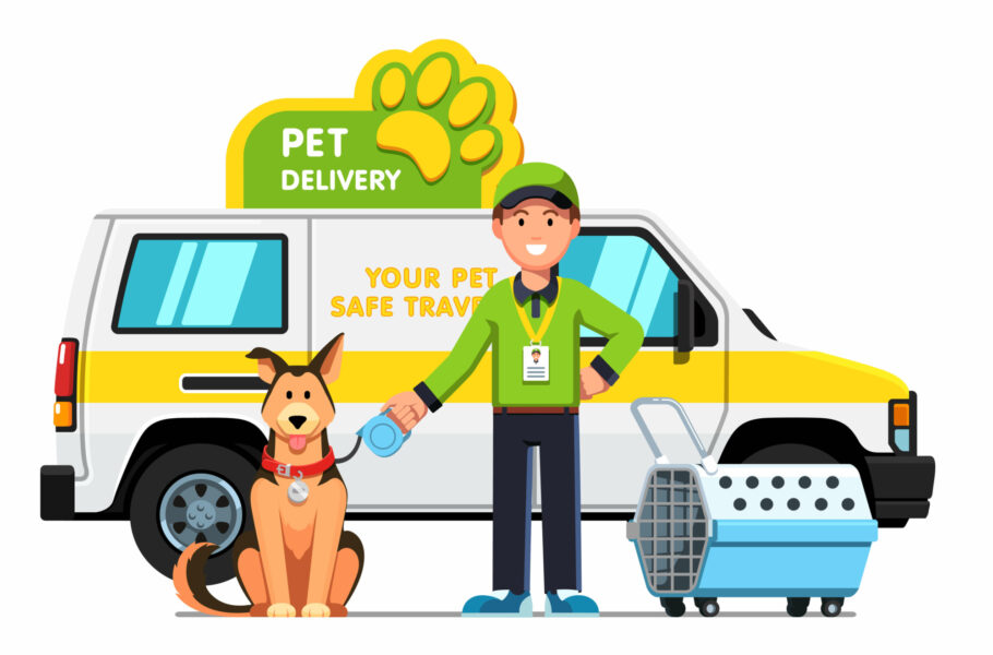 How to relocate your pets out of Qatar