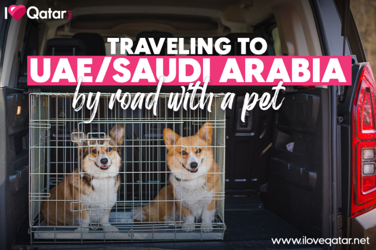 Your complete guide to Qatar