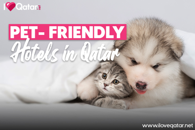 to Qatar! Let us help you get settled.