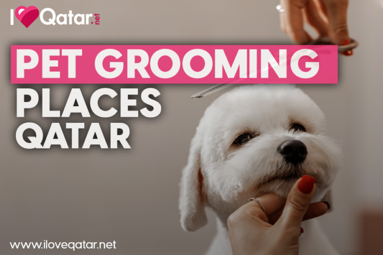 to Qatar! Let us help you get settled.