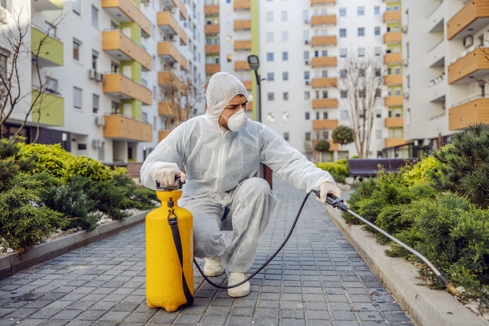 ILoveQatar.net | Companies offering pest control services in Qatar