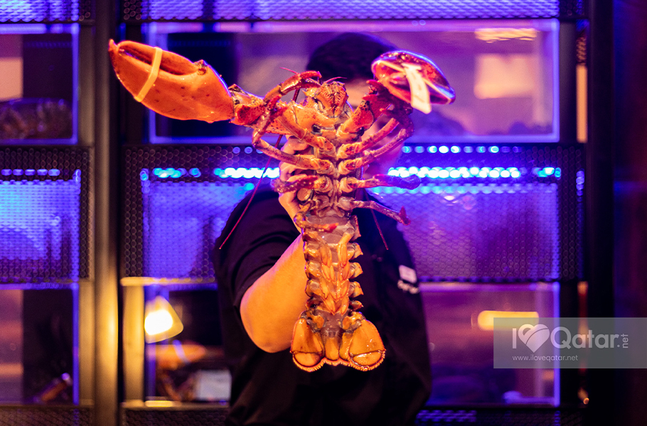 why burger & lobster doha deserves a visit from you