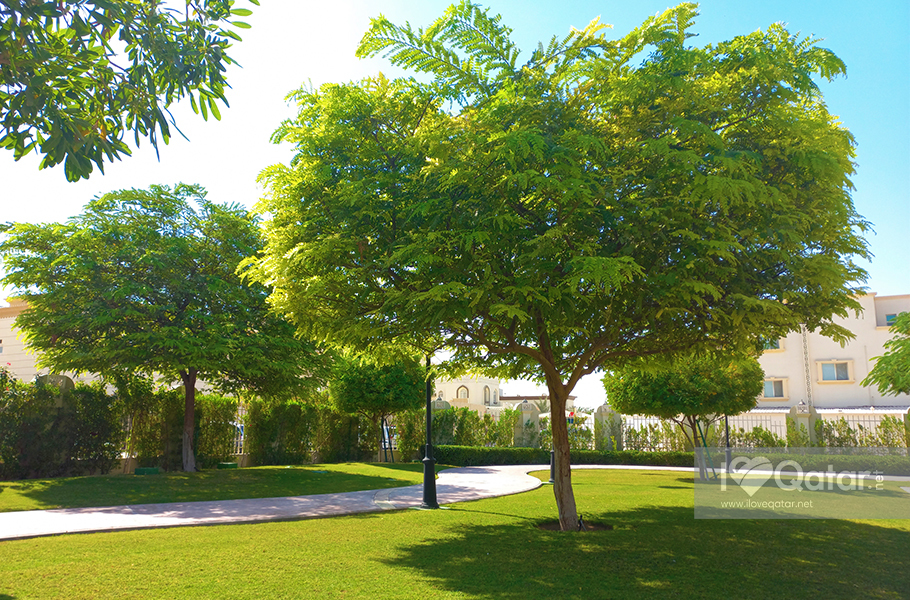 What to check out at Ain Khaled Family Park