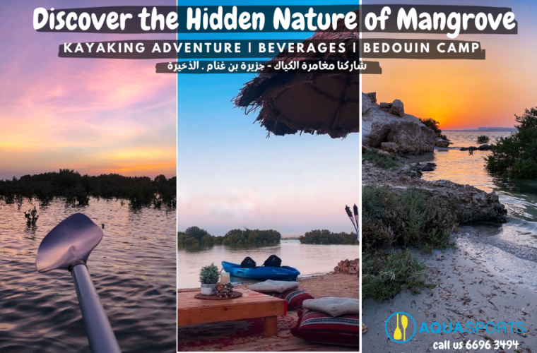 Mangrove Kayaking Eco.Adventure & Discover Wildlife at Purple Island