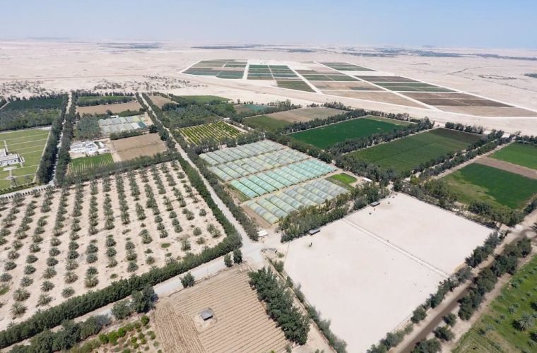 Qatar Airways flights to serve fresh produce from