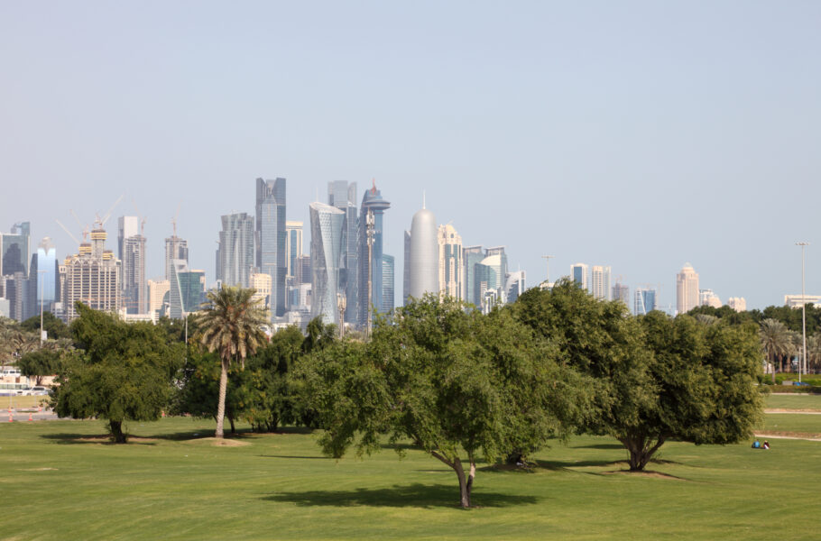Qatar announces commitment to planting one million