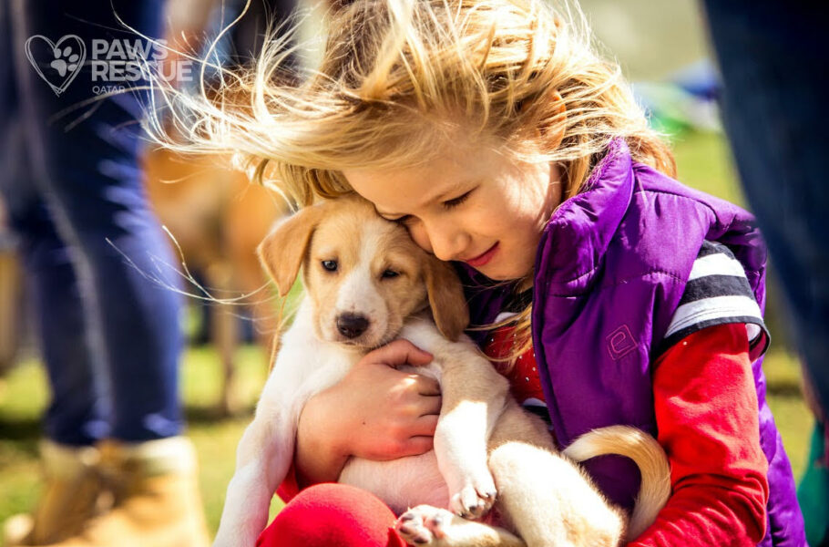 Paws Rescue Qatar Standing up for the animals!