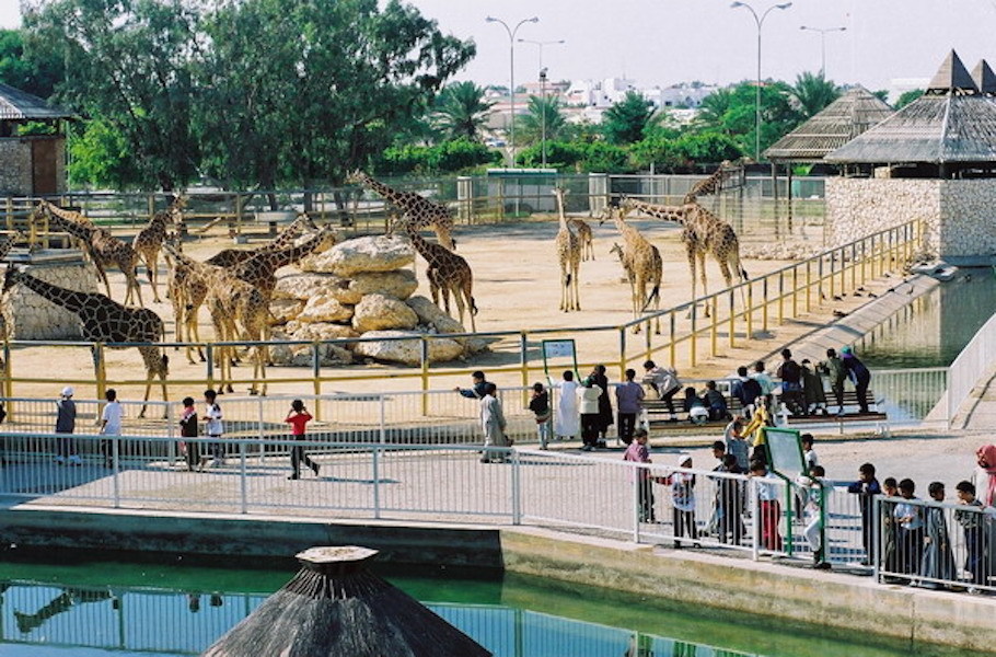 15 memories only a 90's kid in Qatar can relate to