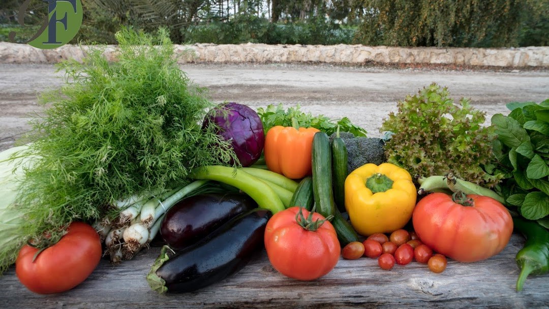 Organic vegetable farms and markets in Qatar
