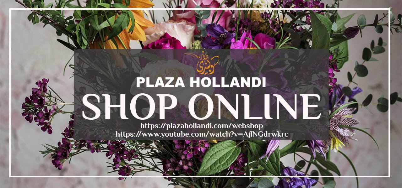 Buy plants online Here are home plants delivery in Qatar