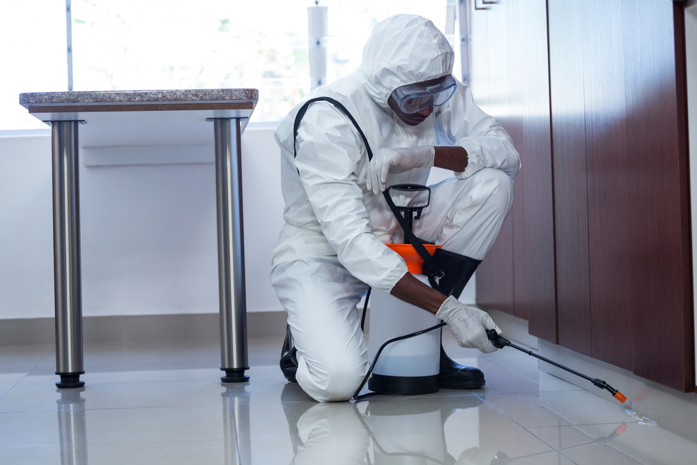 Companies offering pest control services in Qatar