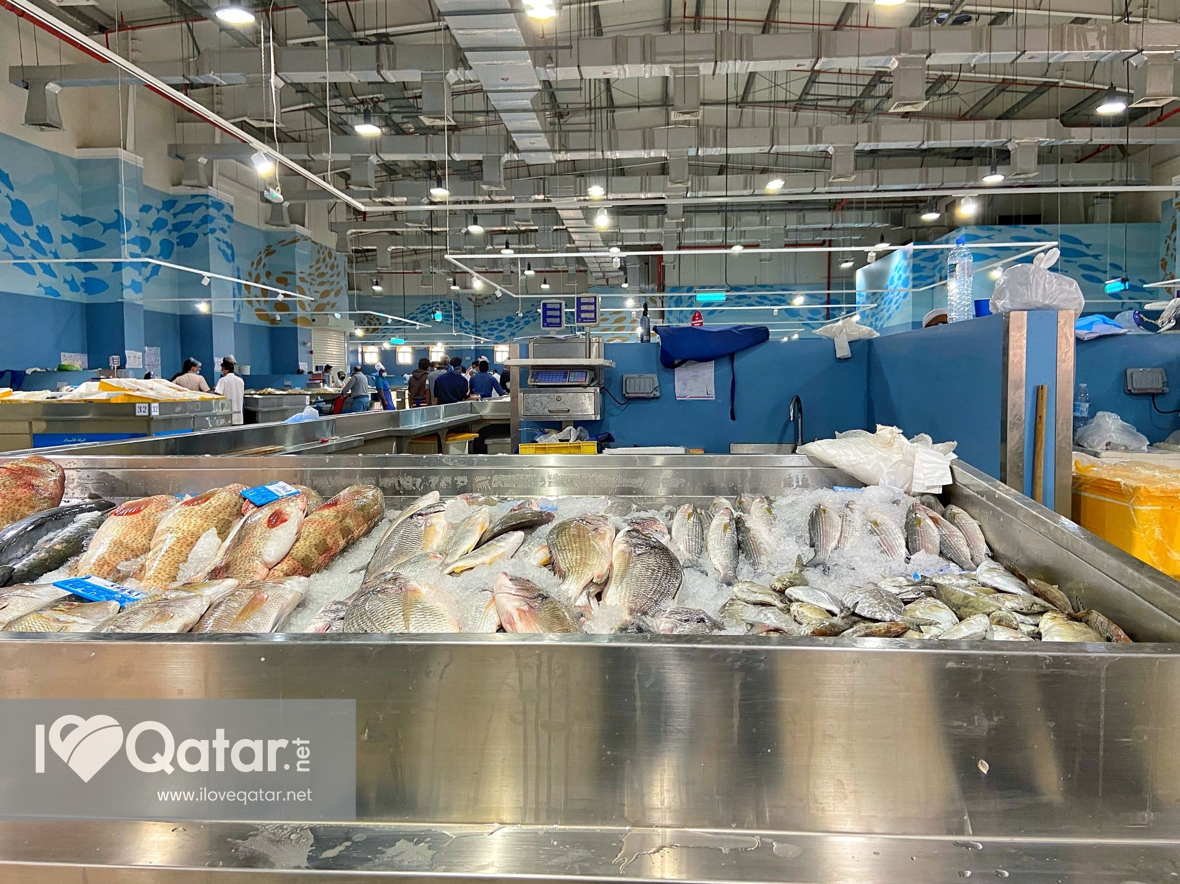 Umm Salal Municipality Guide what to do, see, and eat