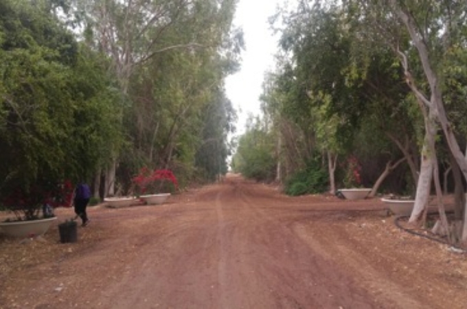 pic1