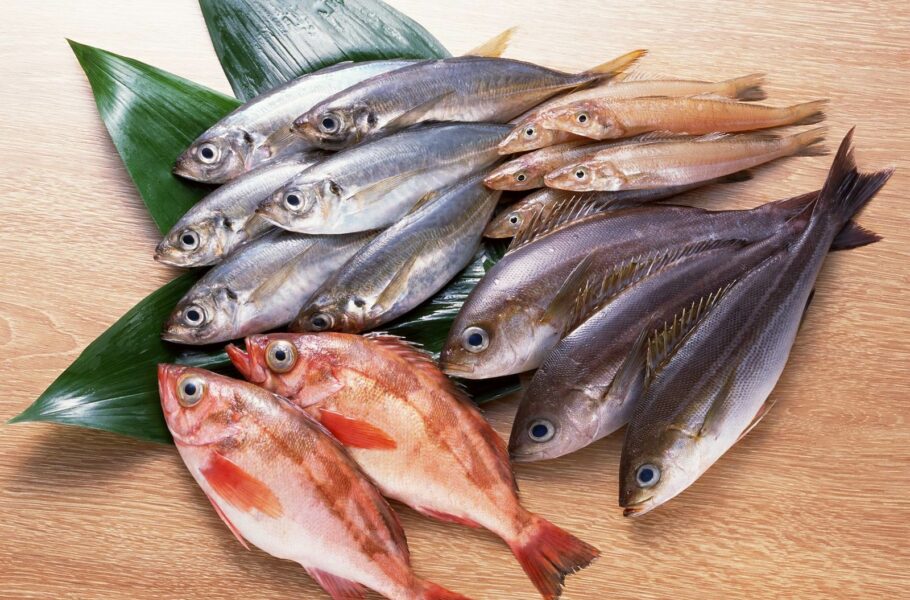 ILoveQatar.net | Eateries cheat by serving cheap fish