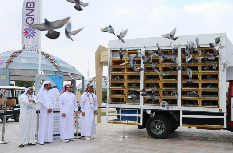 ILoveQatar.net | Birds of Peace initiative highlights importance of protecting local environment and biodiversity - Vimarsana News