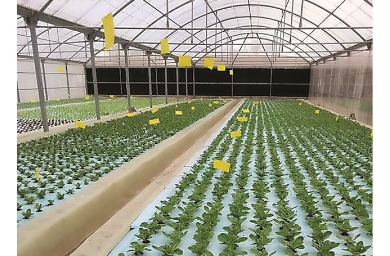 Farm production rises over 100