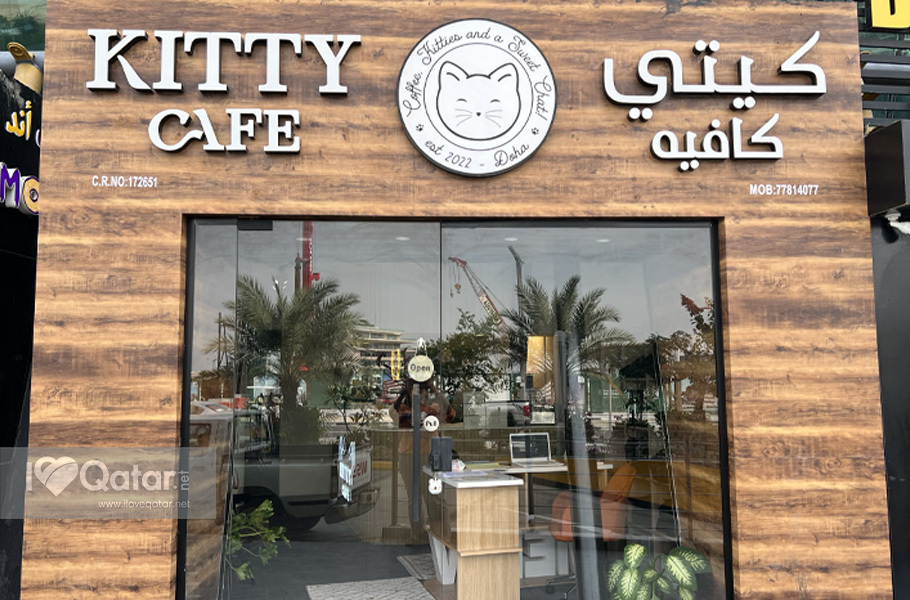 What to expect at Kitty Cafe in Lusail