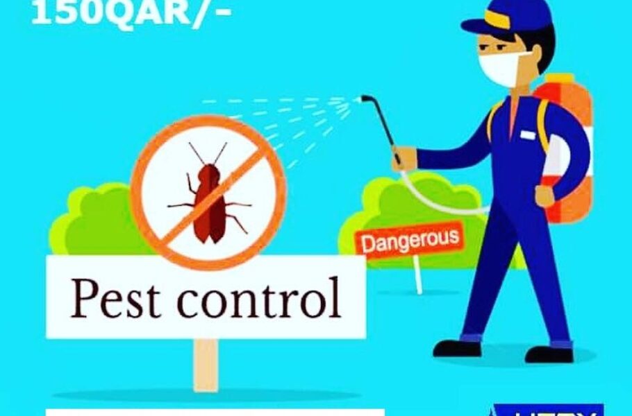 ILoveQatar.net | Pest Control Service in Doha Qatar