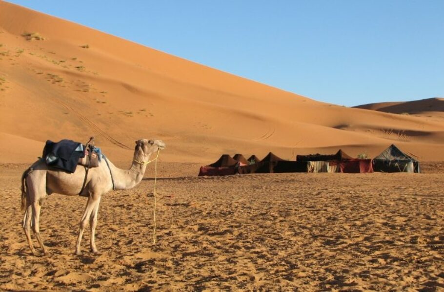 Safety tips for winter camping in Qatar