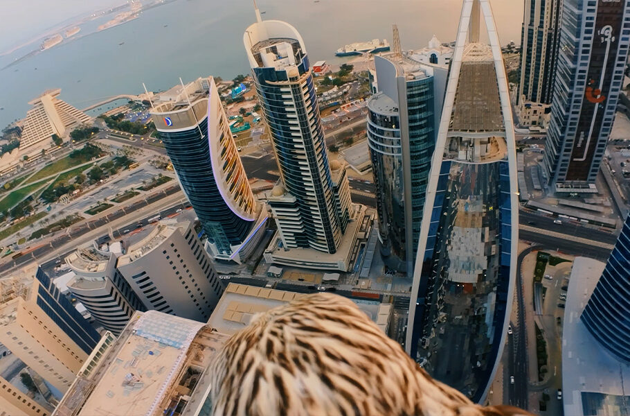Qatar tourism launches first kind production qatar through the eyes falcon
