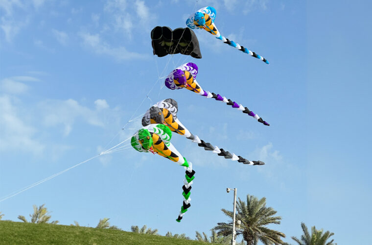 Visit Qatar Kite Festival returns for its second