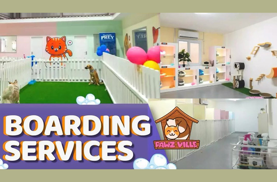 Pet boarding in Qatar Where to leave your pets when
