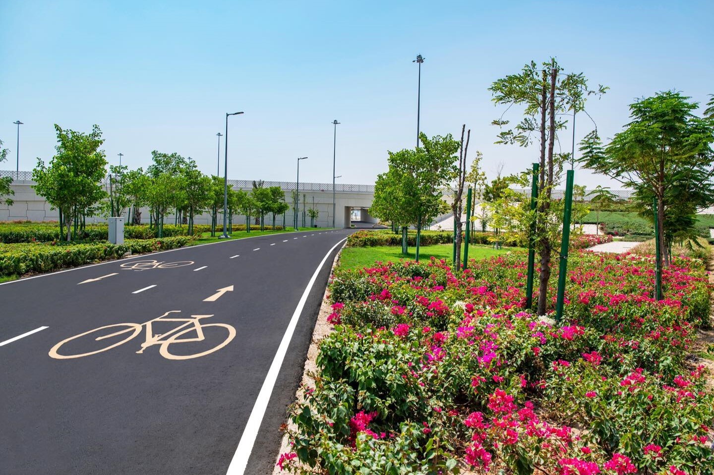 7 dedicated cycling routes to try in Doha