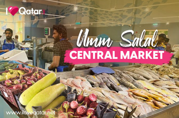 Explore Umm Salal Central Market's fresh fish market