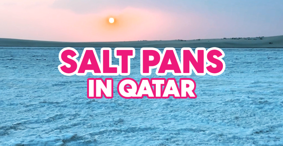 ILoveQatar.net | All our web series, all in one place.